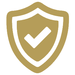 EV SSL SECURE 256 BIT