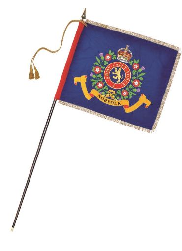 Picture of 42" x 36" ACF Contingent Banner (Regent) Fully Printed with 2 1/4 inch gold coloured silk fringe 