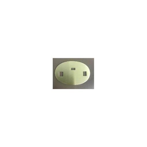 Picture of The Parachute Regiment Back Plate - Brass