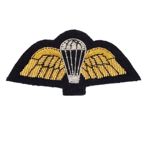 Picture of Mess Dress - Qualification Badge - Para Wing - Gold on Navy