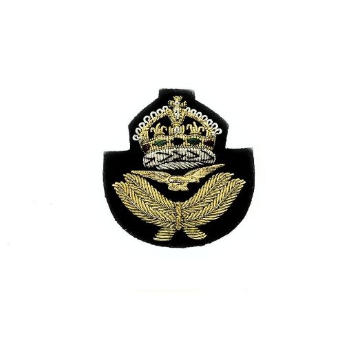 Picture of RAF Beret Badge - Navy Backing - Tudor Crown