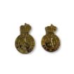 Picture of ACF No1 Dress - Collar Badges - Gilt Plate - Shank & Pin Fitting - Tudor Crown - Pair