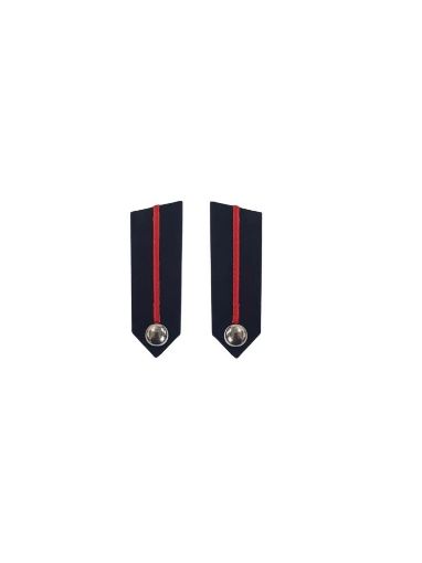 Picture of Fire Officer -Assistant Commissioner Gorgets with plain button (hand Embroidered)
