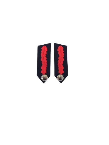 Picture of Fire Officer- Commissioner Gorgets with plain button (hand Embroidered)
