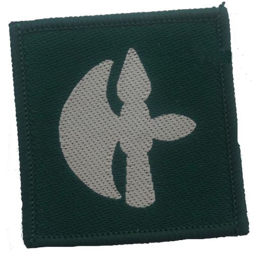 Picture of TRF - 102 Log Brig. - Halberd Silver Axe on Green - Pack of 5