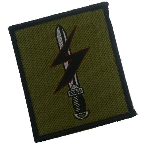 Picture of TRF - Special Forces Support Group - Dag & Lightning - Pack of 5
