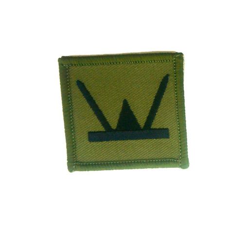 Picture of TRF - 160th Infantry Brigade and HQ Welsh - Subdued - Pack of 5