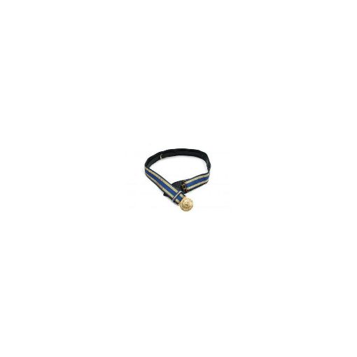 Picture of Royal Air Force Blue and Gold Sword Belt & Slings for  Officers below Air Rank. NSN 8440 99 137 7224  700mm to 850mm
