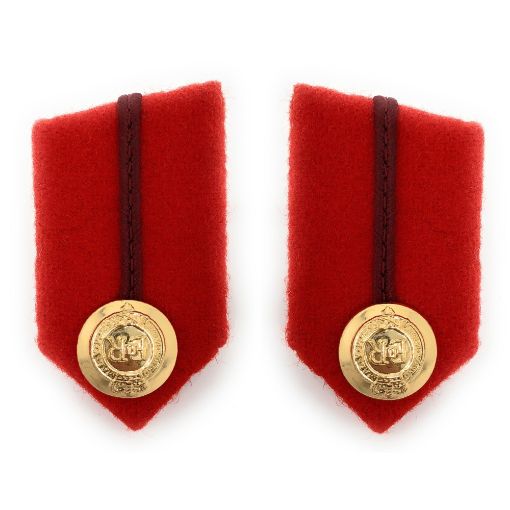 Picture of Staff Officer Gorgets - Brigadier & Colonel - Shirt Clip - Nos 6, 8 & 9 Dress