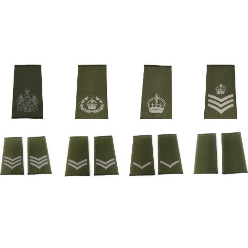 Picture of Ranger Rank Slides - Olive - OR's & NCO's