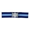 Picture of The Army Air Corps Stable Belt