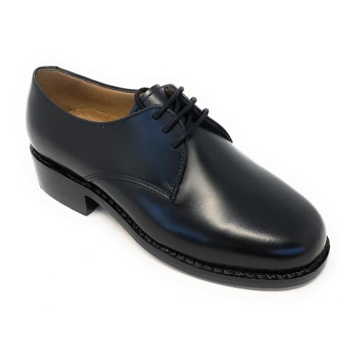 Picture of Leather Female Parade Shoe