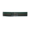 Picture of The RGR Stable Belt