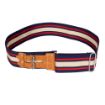 Picture of The Light Dragoons Stable Belt