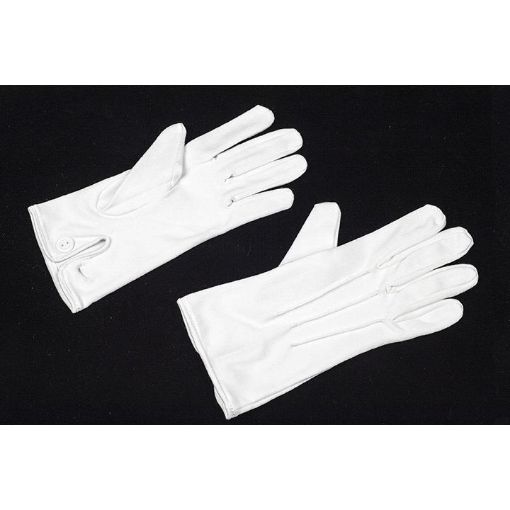 Picture of White Parade Gloves