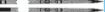 Picture of Infantry, Corps & RM Ceremonial Sword - Short 760mm - CIIIR